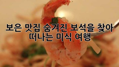 보은 맛집: 숨겨진 보석을 찾아 떠나는 미식 여행