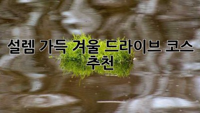설렘 가득 겨울 드라이브 코스 추천 ✨