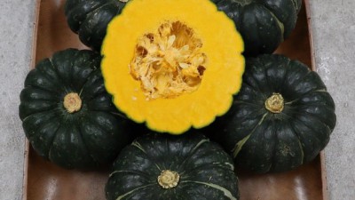 밤단호박5kg 9,900원 12과! 꿀팁 가득한 솔직 후기